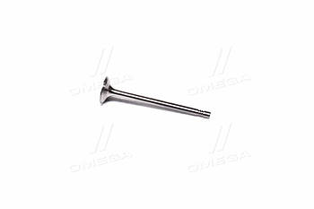 Клапан випускний EX VAG BCA/BLP/ARC/BLF/BKG/BBY/AJV/BLG/ATN/CAVA/CAXA/CAXC 26X6X100.6 (вир-во KS) 39523 UA53