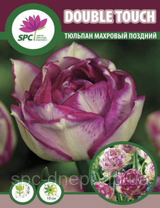 Тюльпан махровий пізній Double Touch