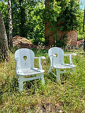 Крісло дерев'яне з підлокітниками для саду Прованс RoomerIN, колір на вибір, фото 3