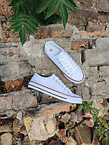 Білі Кеди конверси в стилі Converse all star низькі, фото 6