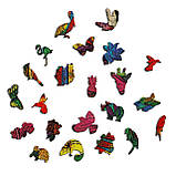 Середній Фігурний Дерев'яний Пазл Woods Story Папуга (Тропічний Ара) L, фото 7