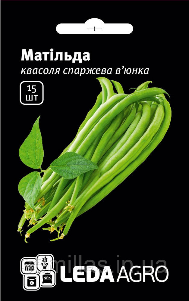 Насіння квасолі Матільда, 15 шт., зелена, в'юнка спаржева, ТМ "ЛєдаАгро"