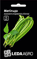 Семена фасоли Матильда, 15 шт., зеленая, вьющаяся спаржевая, ТМ "ЛедаАгро"