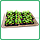 Інфрачервоний килимок-сушарка 50х50 (сушарка для фруктів, грибів, ягід, підігрів розсади), 50 Вт, фото 3