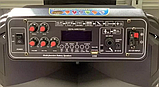Переносна акустична система MEGAFOX CH1201 (12"х1) (30 W) (бездротовий мікрофон, пульт) (1800mAh), фото 5