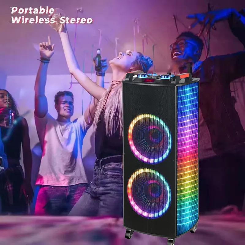Переносна акустична система MEGAFOX GZ-1010 (10 "х2) (50W) (Бездротові мікрофони 2шт + пульт)