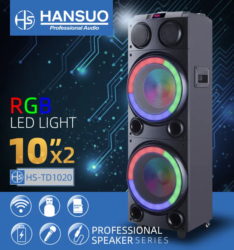 Купить Переносная акустическая система HANSUO HS-TD1020 (10"х2) (80W ...