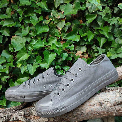 Розпродаж Кеди конверси сірі низькі літні тканинні тряпочние converse чоловічі, фото 1