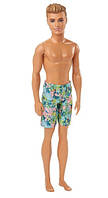 Кукла Барби Кэн серия Пляжная Барби Barbie Ken beach DGT83