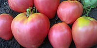 Семена томата "Буденовка розовая"