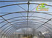 Каркас 10х50м під полікарбонат від виробника для теплиці "Западенська 10+", фото 3