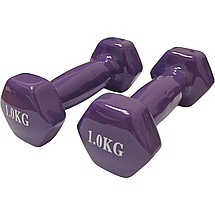 Гантелі по 1кг для фітнесу з вініловим покриттям 2шт, 1пара загальна вага 2кг, фіолетовий, BS, фото 2