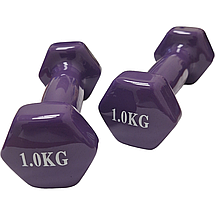 Гантелі по 1кг для фітнесу з вініловим покриттям 2шт, 1пара загальна вага 2кг, фіолетовий, BS, фото 5