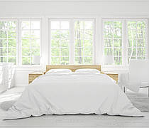 Комплект постільної білизни DOTINEM Бязь полуторний 150х215 з наволочками 70х70 - 2шт (212885-103)