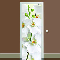 Вінілова наклейка на двері Орхідея (фотодрук плівка для дверей) подвійна ламінована 60х180 см
