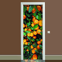 Наклейка на дверь Цитрус 01 (полноцветная фотопечать пленка для двери) ламинированная двойная 60х180 см