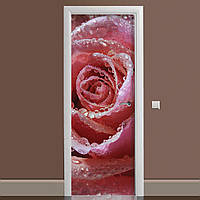 Наклейка на двері Ніжна троянда подвійна ламінована (плівка фотодрук роса червоний бутон квіти) 60х180 см