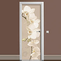 Виниловая наклейка на дверь Орхидея Беж ламинированная двойная (пленка фотопечать цветы) 60х180 см