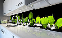 Виниловый кухонный фартук Зеленые листья березы (наклейка для кухни ПВХ пленка скинали) Растения Черный