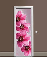 Вінілова наклейка на двері Великі Рожеві Орхідеї (ламінована плівка ПВХ) квіти 60х180 см