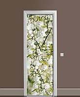 Наклейка на двери Белая Сакура (пленка самоклеющаяся ламинированная ПВХ) цветущие ветки вишни 60х180 см