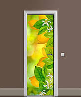 ПВХ наклейка на двері Лимони (плівка самоклеюча ламінована ПВХ) цитруси фрукти Жовтий 60х180 см