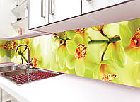Кухонный фартук Орхидеи Тигровые виниловый цветы (ПВХ наклейка пленка скинали для кухни), желтый 60х200 см