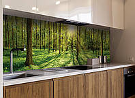 Кухонний фартух Ліс Промені Сонця дерева трава вініловий (ПВХ наклейка скіналі для кухні) зелений 60х200 см
