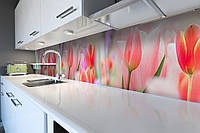 Кухонный фартук самоклеющийся Розовые Тюльпаны (скинали для кухни наклейка ПВХ) цветы бутоны 60х200 см