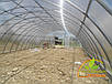 Каркас 10х50м під полікарбонат від виробника для теплиці "Западенська 10+", фото 4
