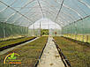 Каркас 10х50м під полікарбонат від виробника для теплиці "Западенська 10+", фото 10
