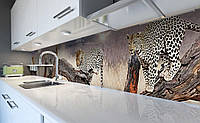 Виниловый кухонный фартук Леопарды (наклейка для кухни ПВХ пленка скинали) коты Животные Бежевый