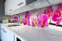 Кухонный фартук Розовая Орхидея (скинали для кухни наклейка ПВХ) крупные цветы Розовый 60х200 см