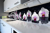Кухонний фартух Орхідеї в воді (скіналі для кухні наклейка ПВХ) білі квіти відображення Чорний 60х200 см
