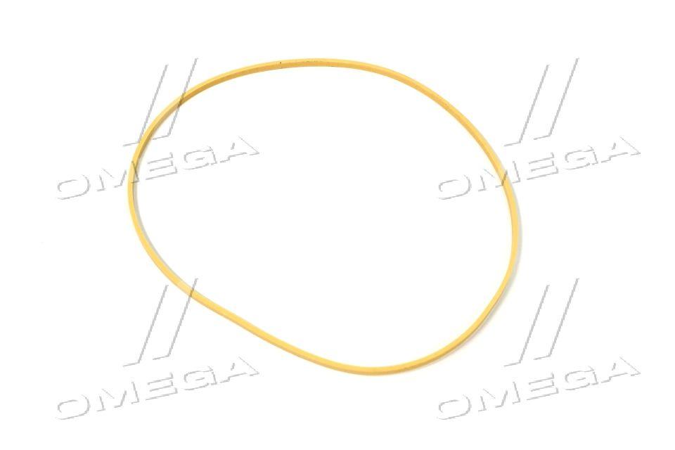 Кольцо уплотнительное Case T8040-50/MX310 (139,65х143,05х2,87 мм.) (CNH) 87433971 UA41, фото 1