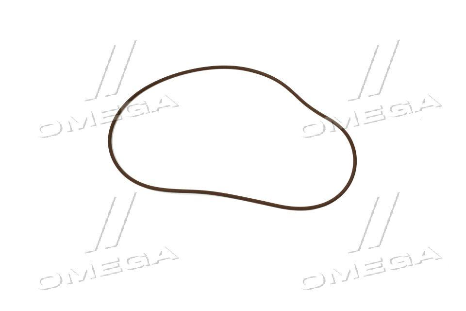 Кольцо уплотнительное Case T8.390/T8040-50/MX (CNH) 14462281 UA41, фото 1