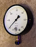 МТП-160, МП4-У, Манометр загальнотехнічний 600 кгс/см2 (60МПа,60000кПа) Ф160 мм М20*1,5 радіальний (ссор-НОВНІ!), фото 3