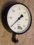 МТП-160, МП4-У, Манометр загальнотехнічний 600 кгс/см2 (60МПа,60000кПа) Ф160 мм М20*1,5 радіальний (ссор-НОВНІ!), фото 4