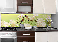 Кухонний фартух Птахи (Пташки) (повнокольоровий фотодрук наклейка на стінову панель для кухні) 600*2000 мм
