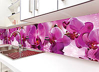 Кухонний фартух Пишні рожеві Орхідеї (наклейка вінілова скіналі для кухні плівка) рожевий квіти 600*2000 мм