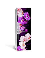 Наклейка на холодильник Орхидеи цветущие пленка самоклейка ПВХ 60х180 см цветы Фиолетовый