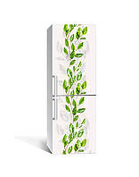 Вінілова наклейка на холодильник Соковите листя гілки плівка самоклейка ПВХ 60х180 см рослини Зелений