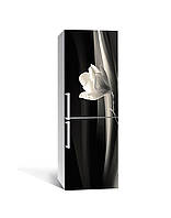 Наклейка на холодильник Крупная Магнолия пленка самоклейка ПВХ с ламинацией 60х180 см Цветы Черный