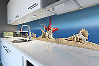 Кухонный фартук Ракушки (виниловая наклейка скинали ПВХ) пляж песок море морская звезда Синий 600*2000 мм