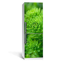 Виниловая наклейка на холодильник Хвойный лес самоклеющаяся пленка 60х180 см глянцевая с ламинацией