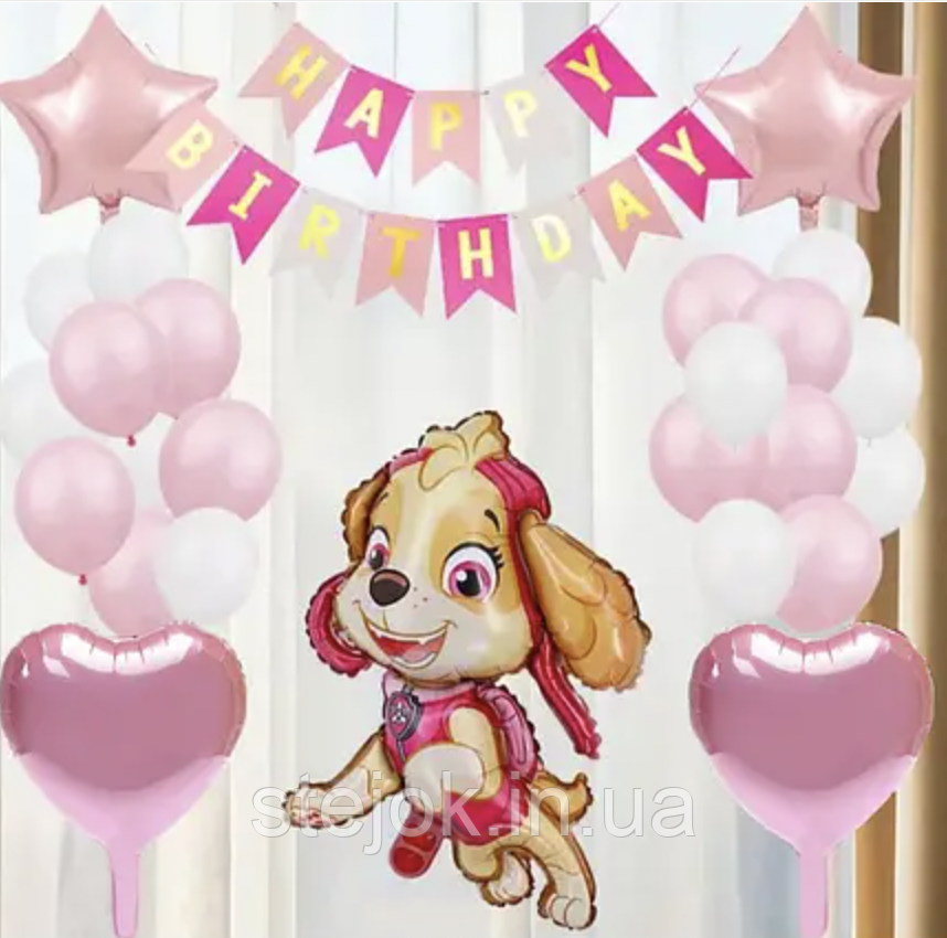 Набір куль Щенячий патруль Скай, фото 1