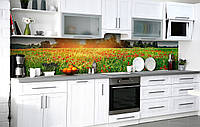 Кухонный фартук 3Д пленка Маковое поле фотопечать наклейка на стену 60х200см Цветы