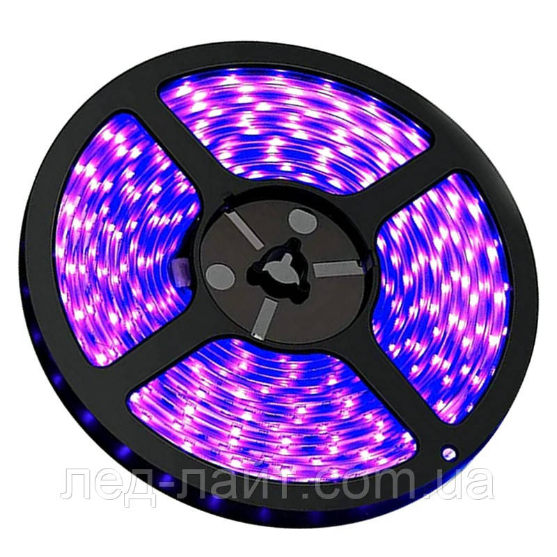 Світлодіодна стрічка 12V 2835 (120 LED/м) IP20 5мм ультрафіолет, фото 1