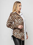 Блуза жіноча Лєона білий/леопард, фото 4