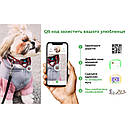 Нашийник нейлон 33-49 см 25 мм Waudog Дім пластикова пряжка Collar для собак, фото 7